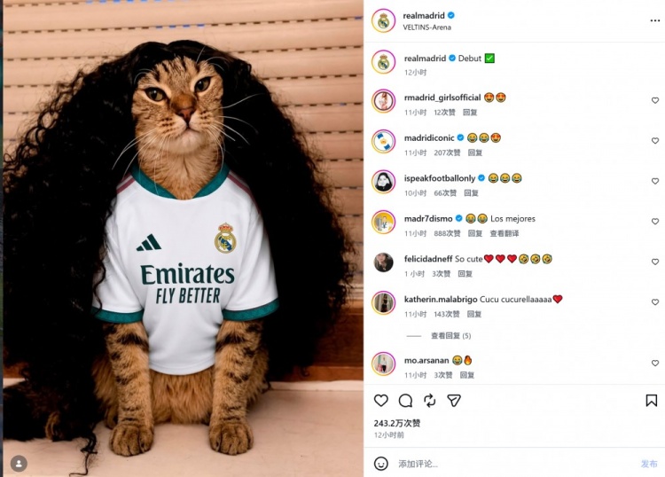 库库雷利亚皇马首秀即发猫咪梗图 承诺兑现 库库雷利亚皇马首秀即发猫咪梗图 承诺兑现