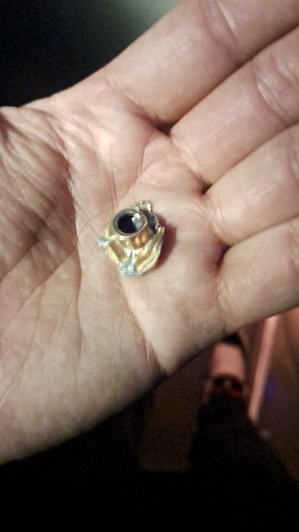 南美杯赛后暴行：老虎竞技球迷大巴遭10枪射击，两人送医