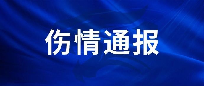 刘奕鸣训练右掌第四掌骨骨折 手术完成归期待定